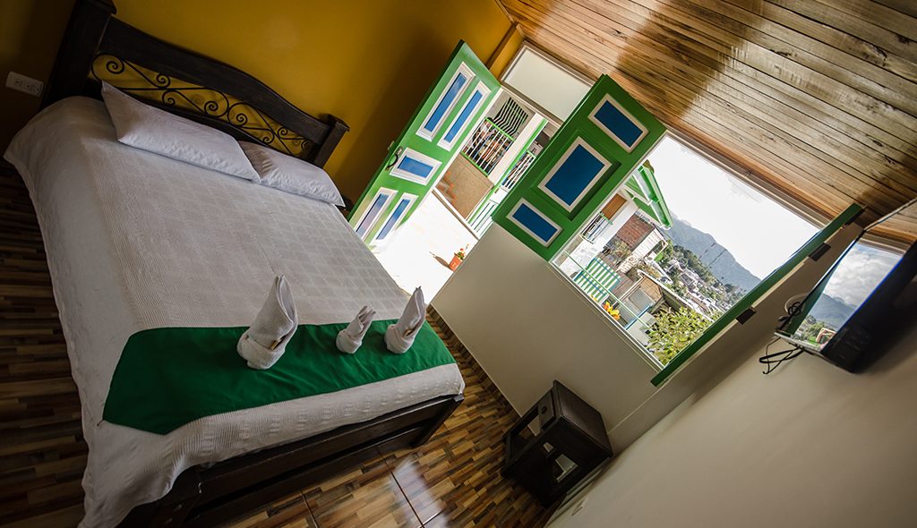 Cocora Valley in Salento